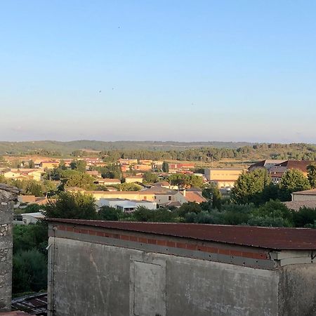 Duplex Jaden - 3 Pieces Climatise 80M2 Apartment Villeveyrac Екстериор снимка